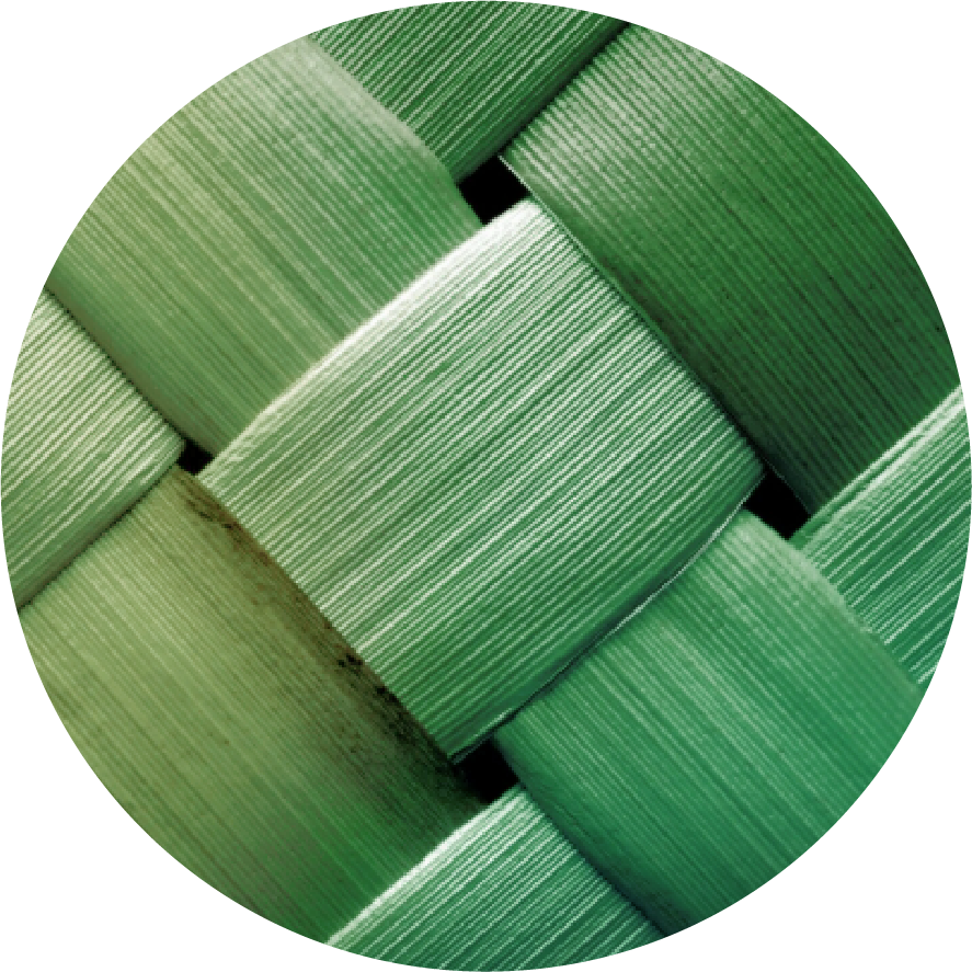 As a trustee, you’ll work with the Chief Executive and your fellow trustees to shape strategy, ensure effective governance, and drive a future focused vision for holistic community support. This is a volunteer governance role with meaningful regional impact.